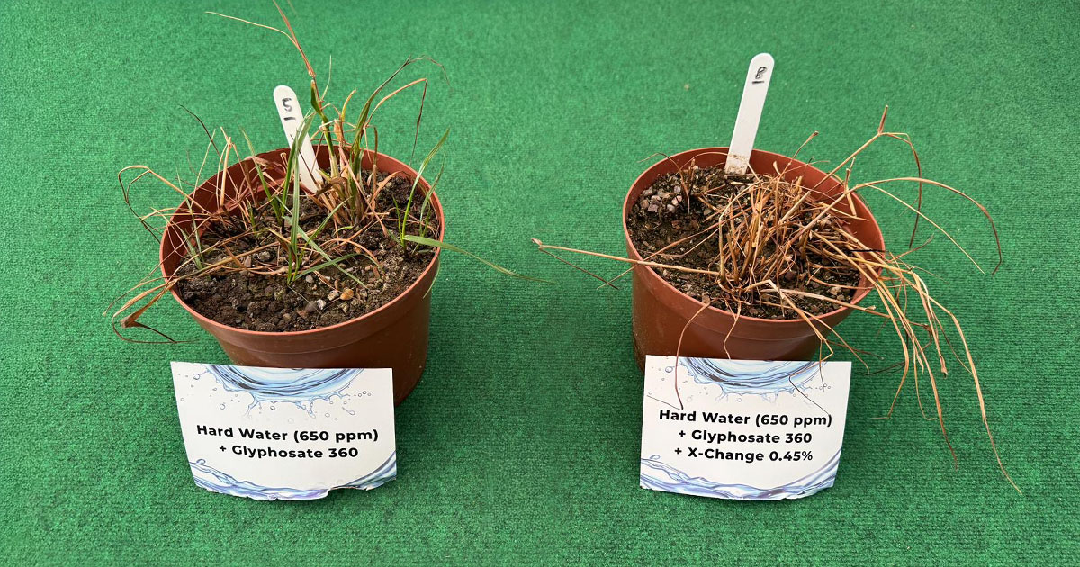 A close-up of a grey water tank on the side wall of a barn in an agricultural setting. Sunlight is shining through the windows onto the metal roof next to the large rainwater storage silo which stands in front of a rustic, timber-clad building. It is a sunny day with a clear blue sky.