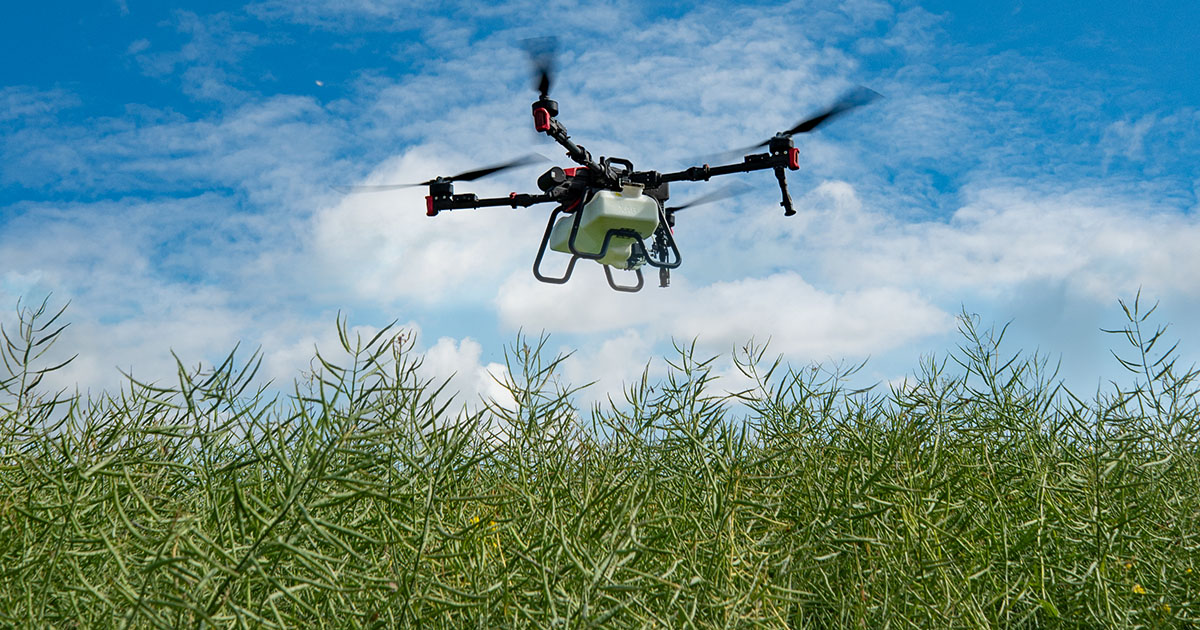 A Pod-Stik drone application applied to our farmers best oilseed rape crop for many years, the treatment provided a valuable opportunity to see how drone technology performs in a real farm situation.