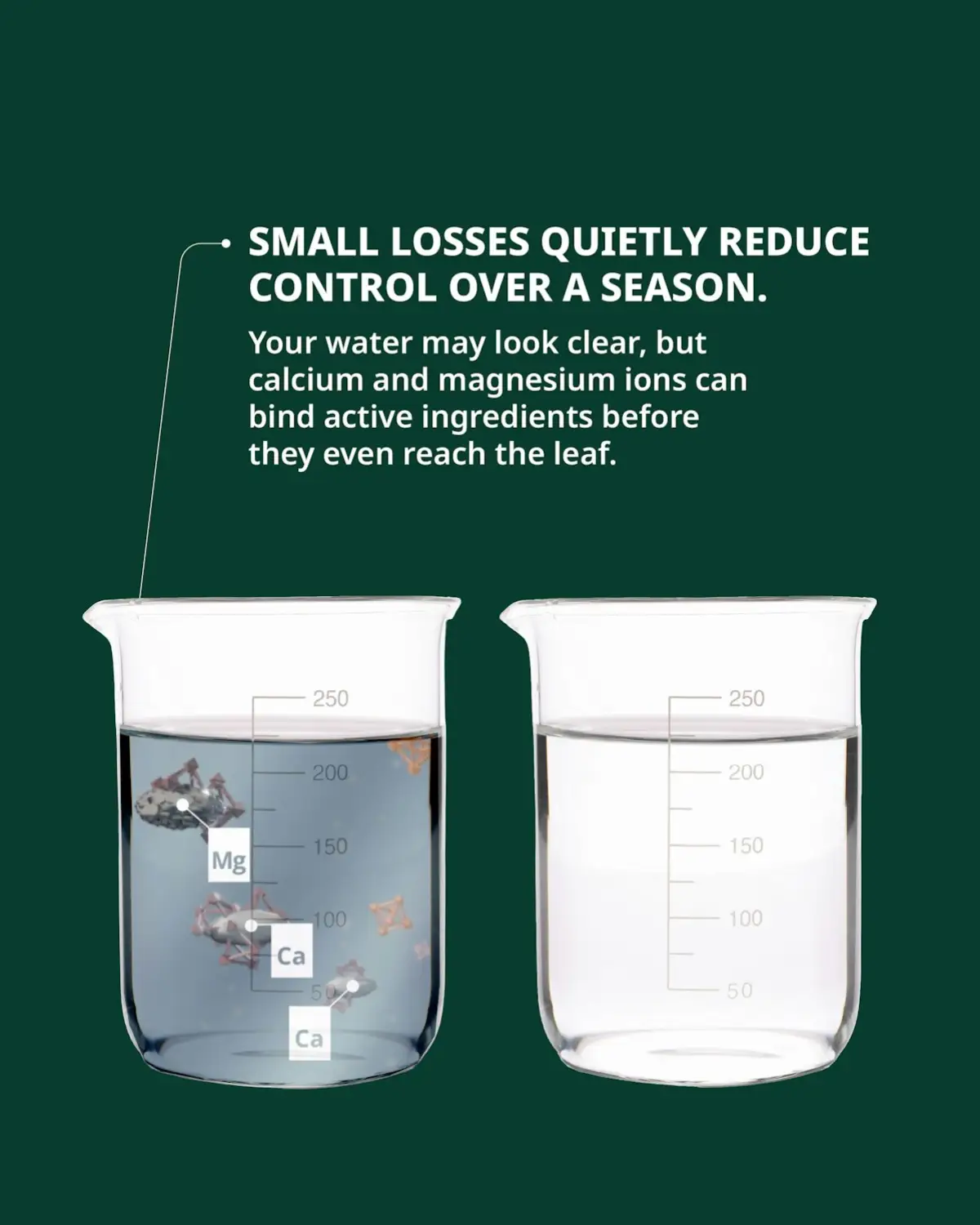 Illustration explaining how hard-water minerals can reduce herbicide performance